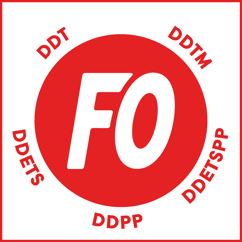Logo FEETS-FO